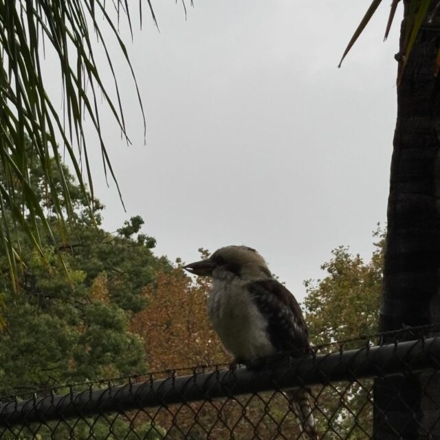 A happy little visitor stopped by.