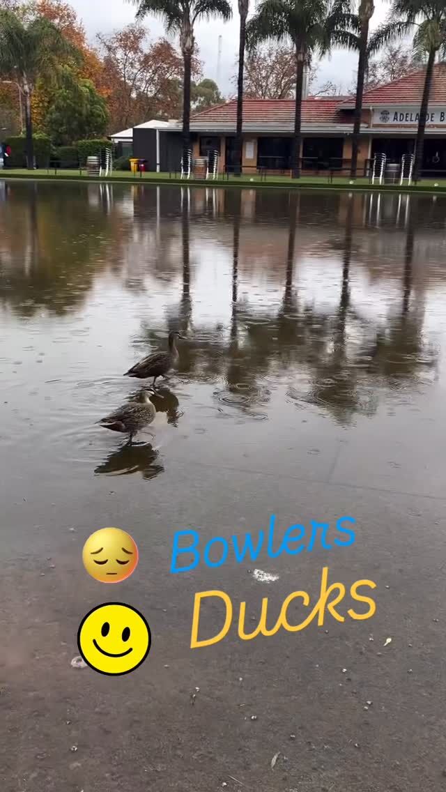 One of the rare occasions with enough rain to flood our greens- 22mm of rain in Adelaide in the past 24 hours!